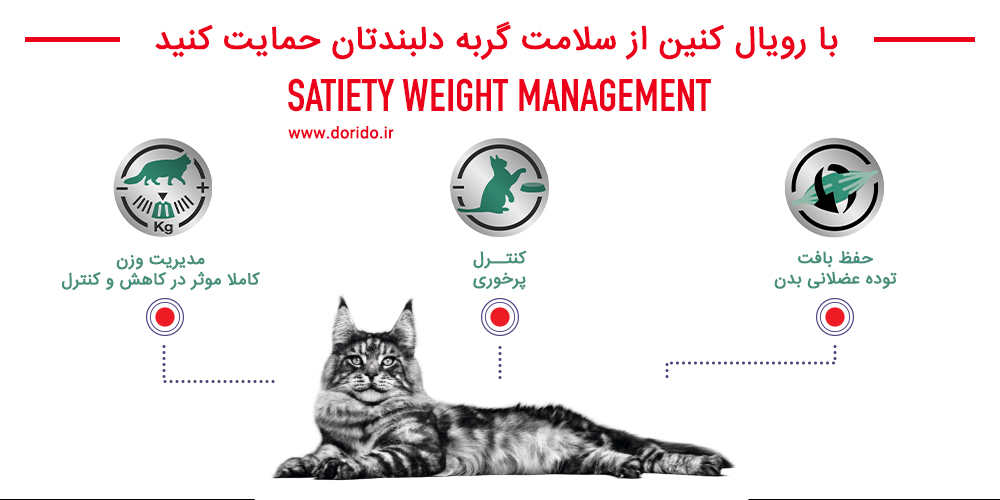 غذای خشک گربه رویال کنین ستیتی Satiety Weight Management