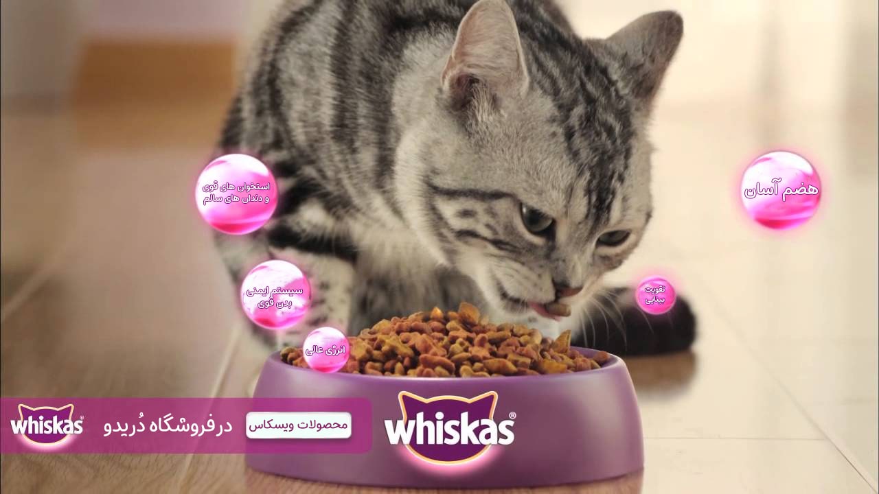 مزیت های برند ویسکاس