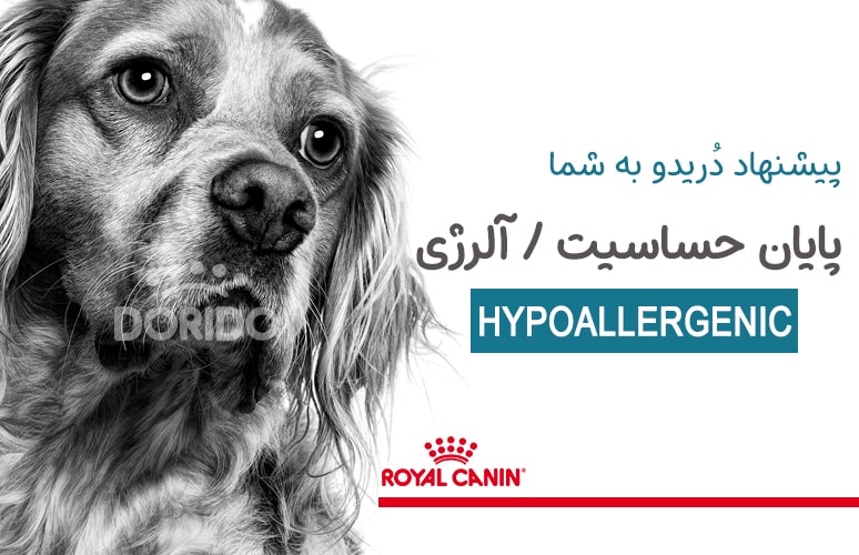 غذای سگ هایپو آلرژنیک رویال کنین