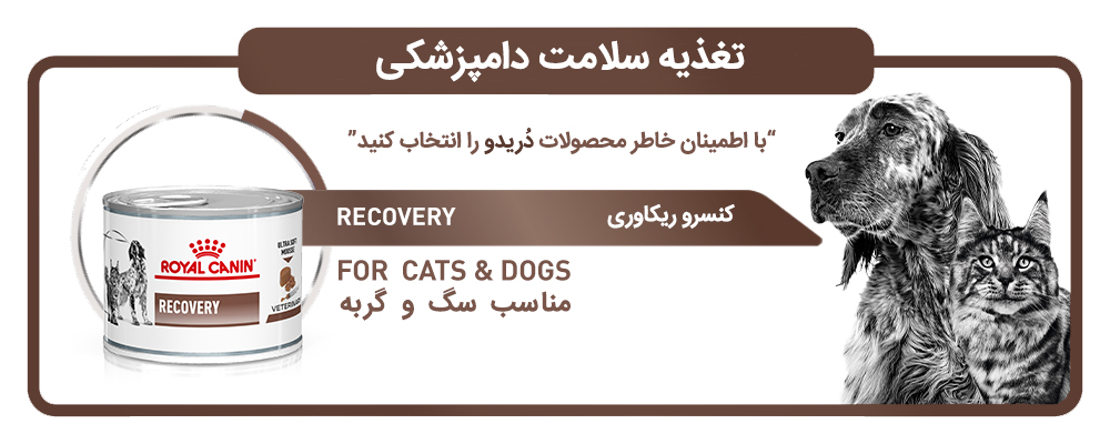 غذای ریکاوری گربه و سگ رویال کنین Royal Canin Recovery