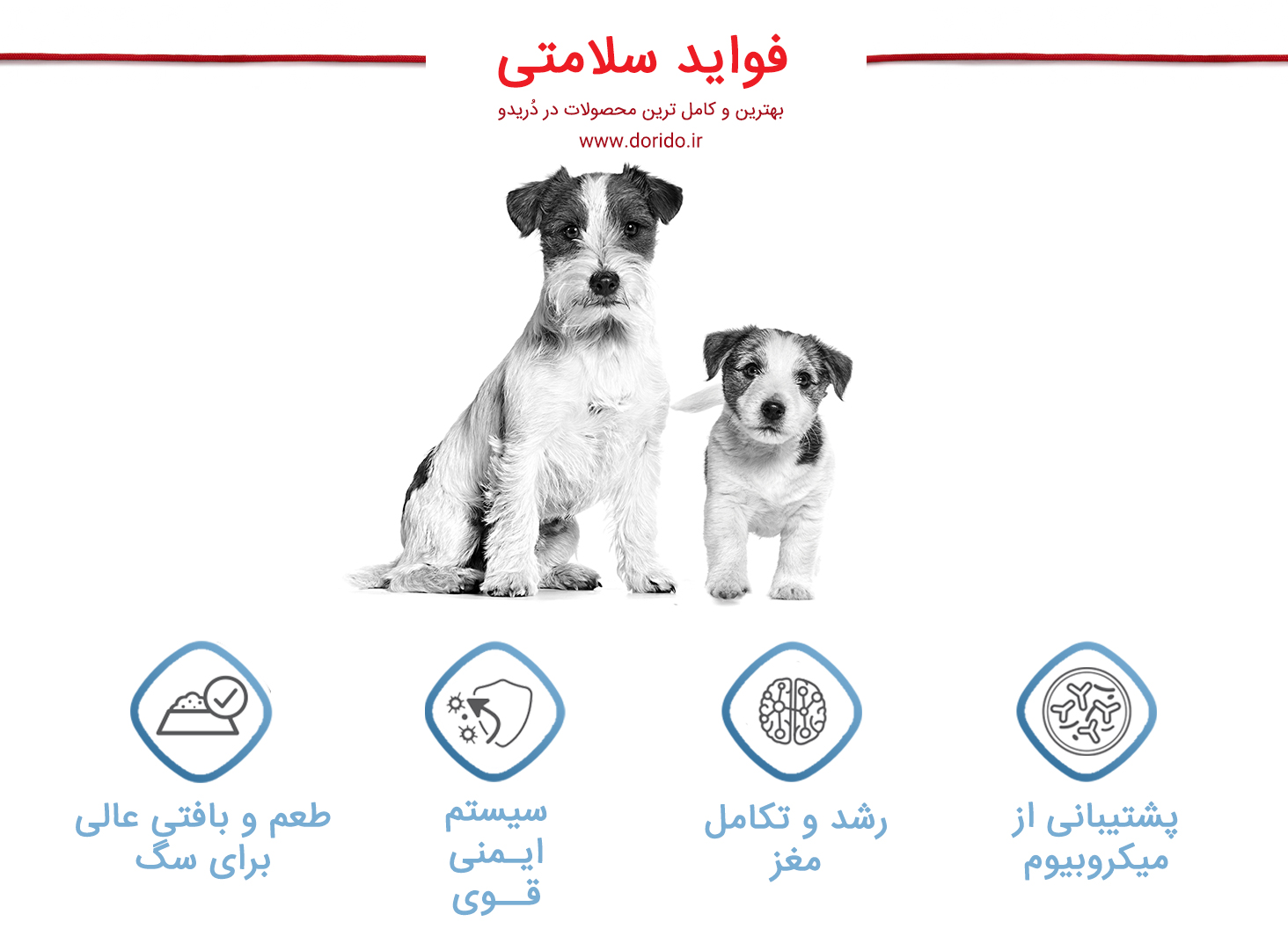 فواید برای سلامتی سگ با استفاده از کنسرو غذای سگ استارتر مادر اند بیبی داگ Royal Canin Mother & Babydog Starter