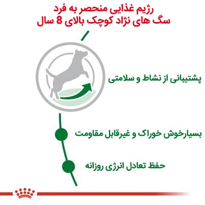 غذای خشک سگ مینی ادالت بالای 8 سال رویال کنین Royal Canin Mini Adult +8