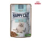 پوچ گربه هپی کت مناسب پوست و مو Happy Cat Skin & Coat