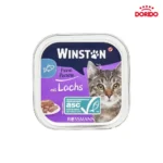 خوراک کاسه‌ای ووم گربه وینستون با طعم سالمون مدل Winston with Salmon وزن 100 گرم