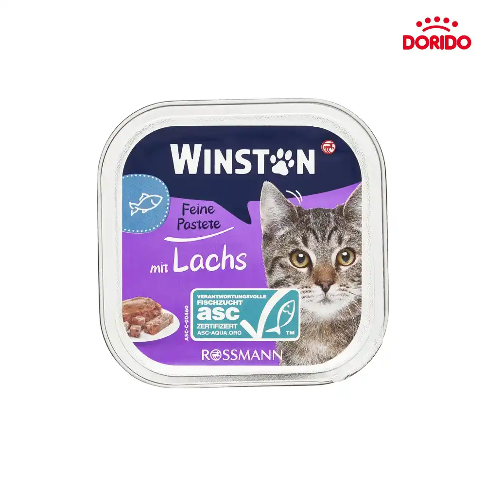 خوراک کاسه‌ای ووم گربه وینستون با طعم سالمون مدل Winston with Salmon وزن 100 گرم