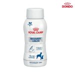 مایع خوراکی ریکاوری سگ و گربه رویال کنین مدل Royal Canin Recovery Liquid 200ml