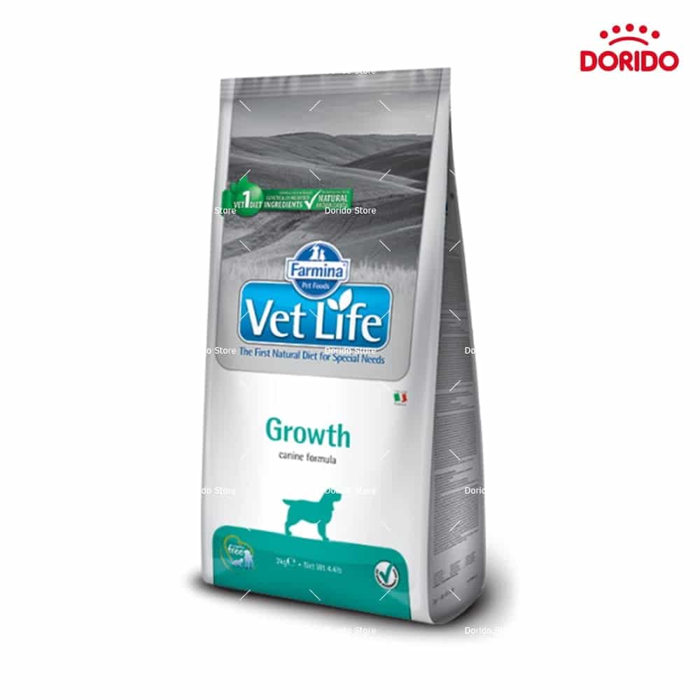 غذای خشک سگ Vet Life مدل Growth