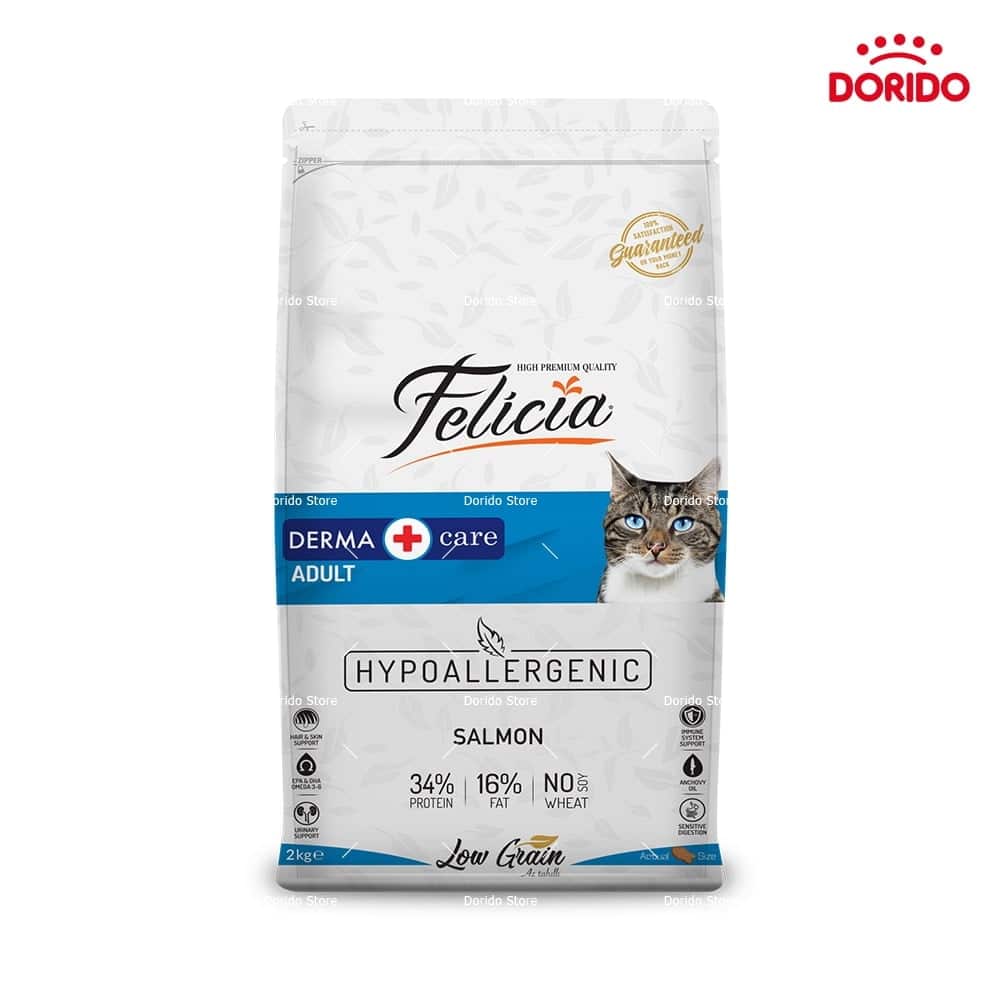 غذای خشک گربه فلیشا مدل Derma Care با طعم سالمون وزن 2 کیلوگرم