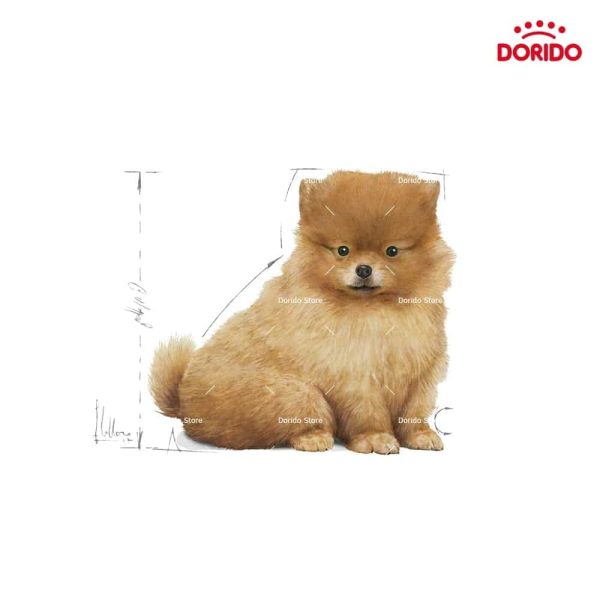 غذای خشک سگ رویال کنین مدل Mini Indoor puppy وزن 1.5 کیلوگرم